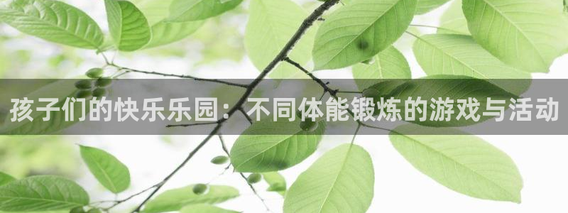77体育官网：孩子们的快乐乐园：不同体能锻炼的游戏与活动