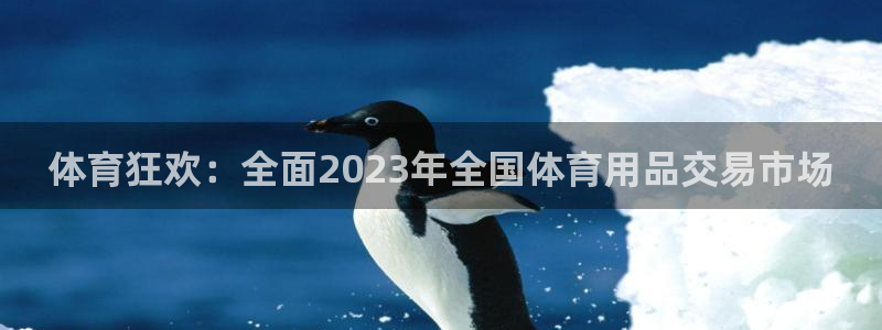 皇冠277体育：体育狂欢：全面2023年全国体育用品交易市场