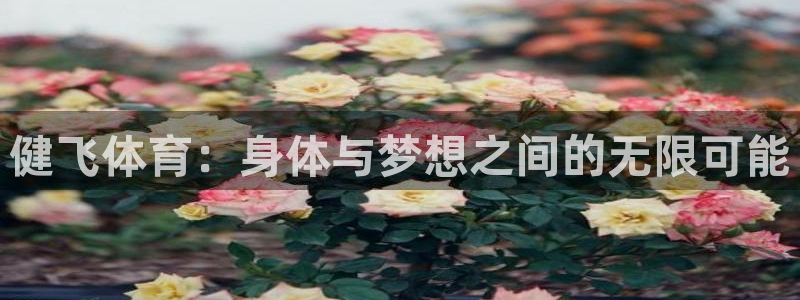 77体育：健飞体育：身体与梦想之间的无限可能