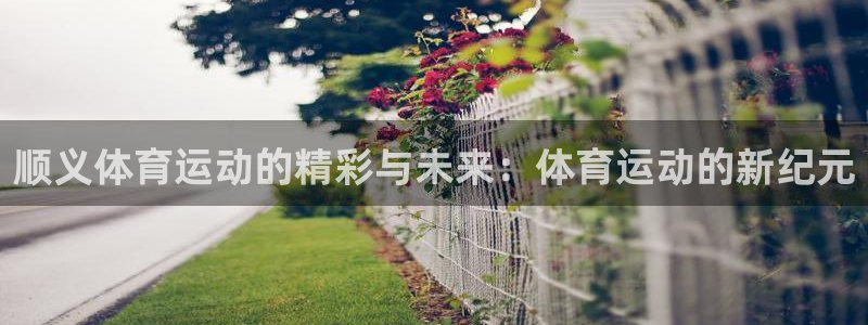 皇冠277体育：顺义体育运动的精彩与未来：体育运动的新纪元